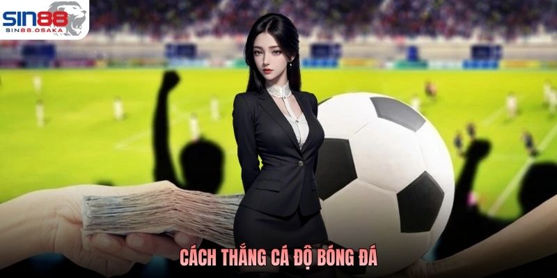 Cách Thắng Cá Độ Bóng Đá - Hiểu Bản Chất Để Chơi Hiệu Quả